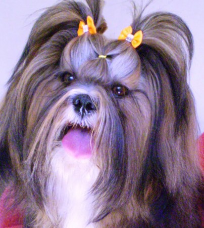 ***Vulcan Lhathander***